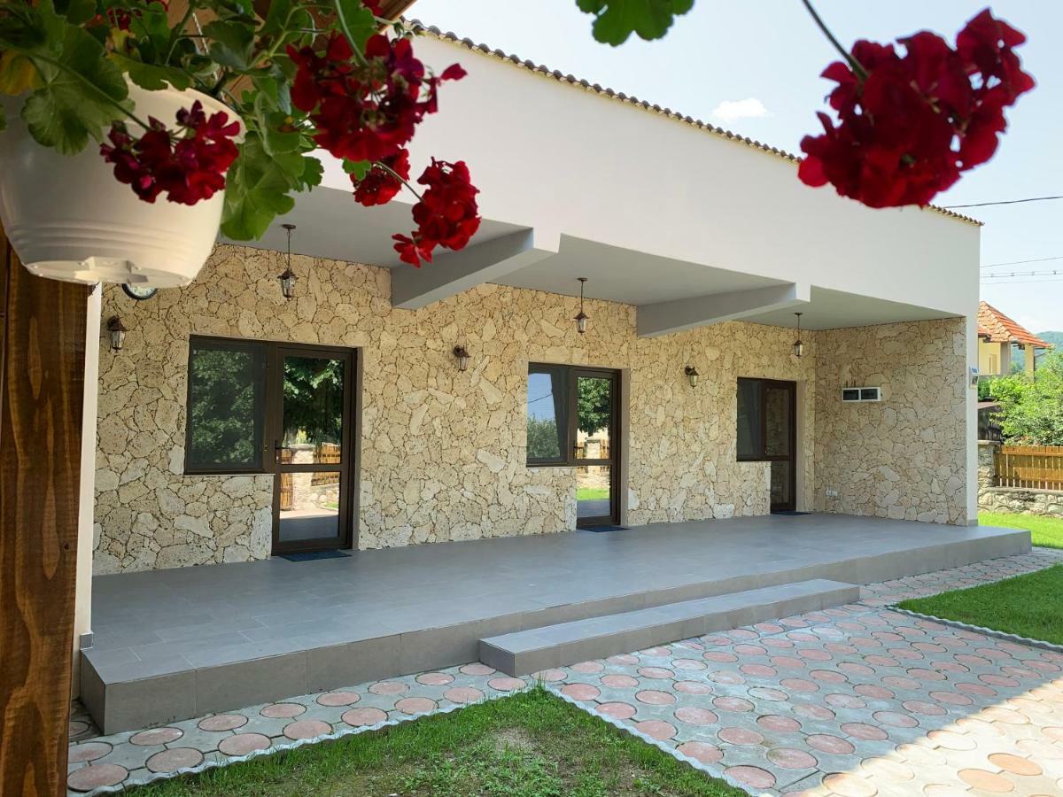 Casa Roka Appartement Ieşelniţa Buitenkant foto